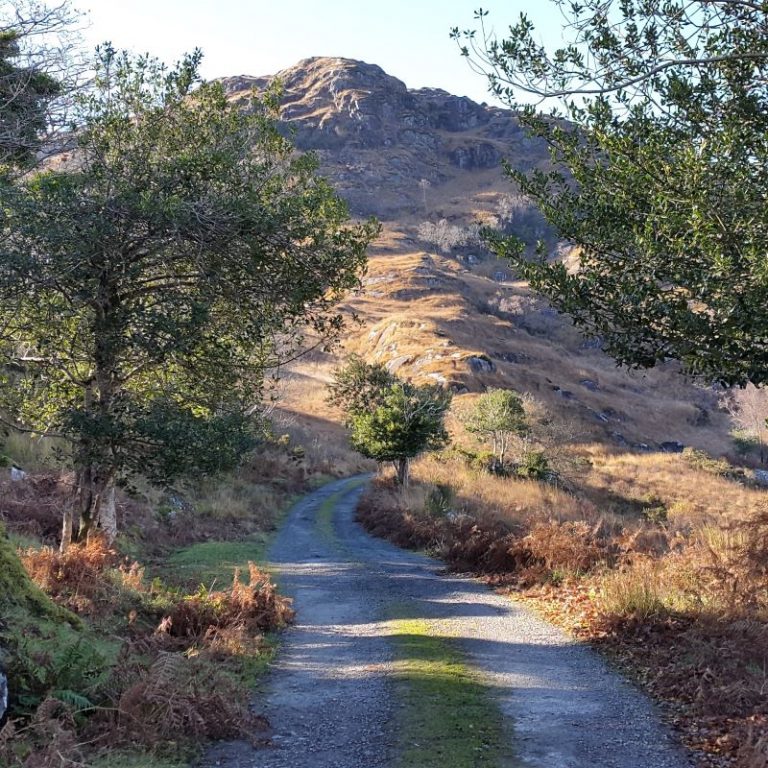 The Old Kenmare Road Kenmare